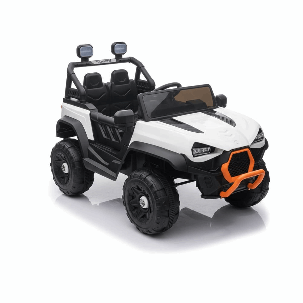 عربية شحن BMW BBL-0246